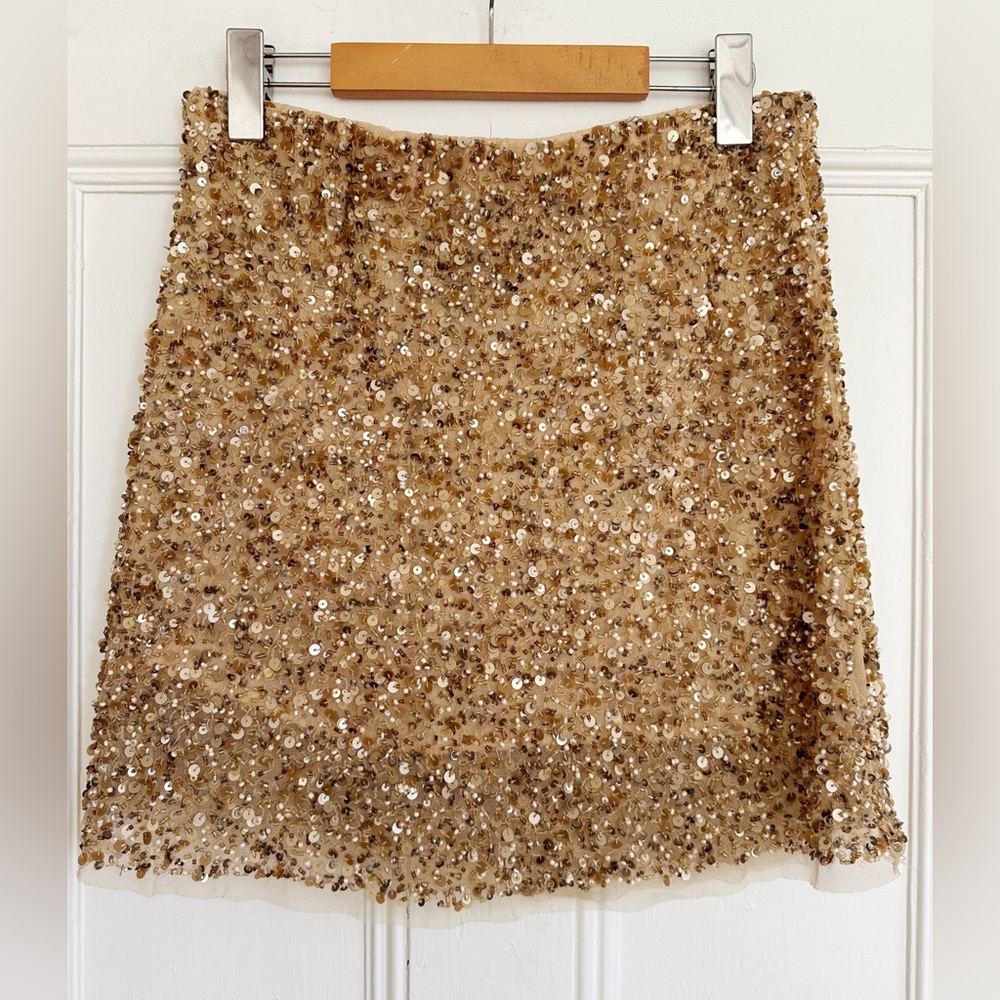 Zara Sequinned & Beaded Mini Skirt. Size XS - Picture 5 of 11